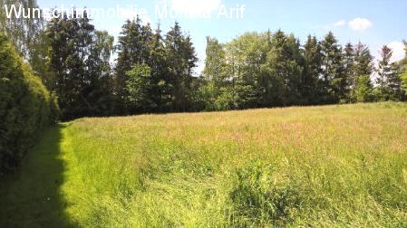 Teilansicht Grundtück Südost Fläche