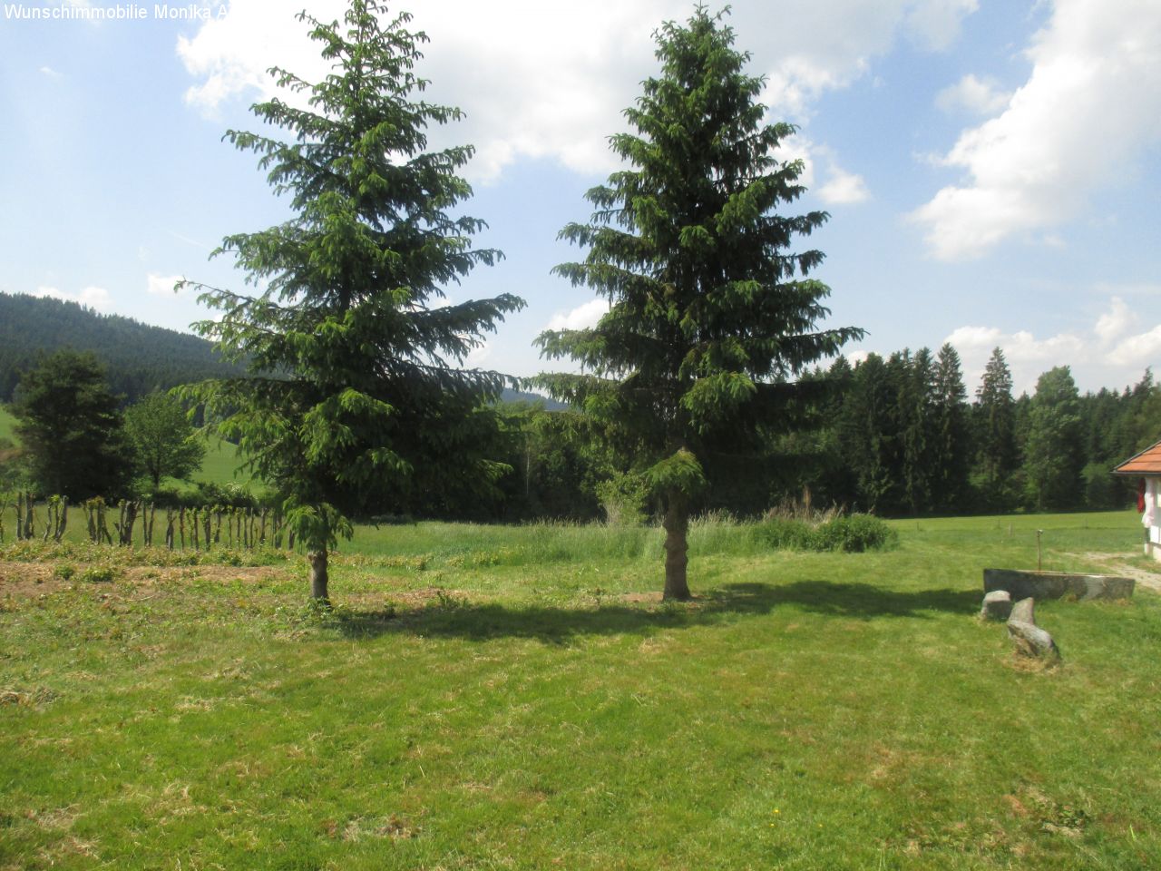 Gartenfläche - südlich vom Haus