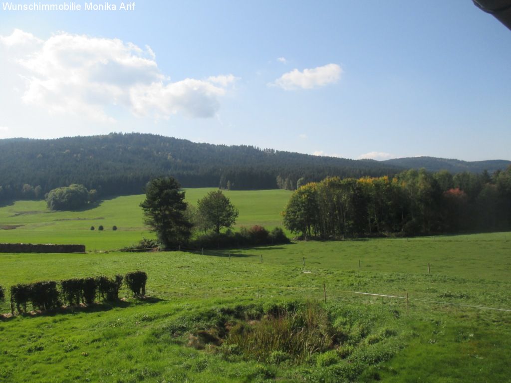 Ausblick vom Garten