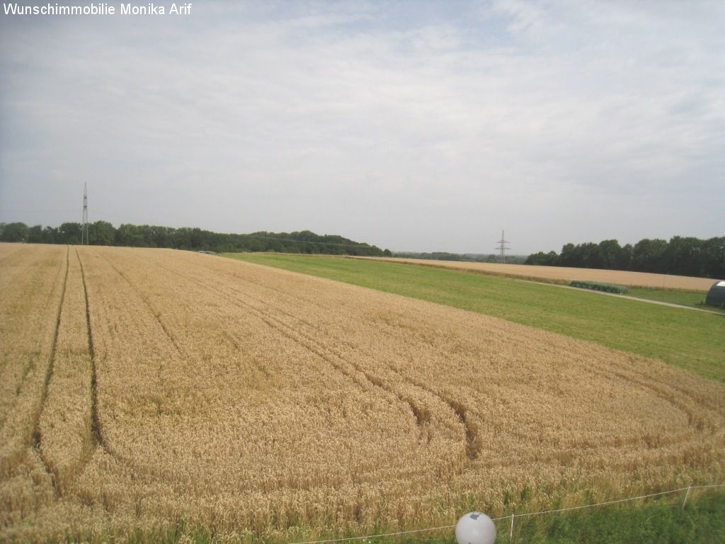 Ausblick vom Balkon