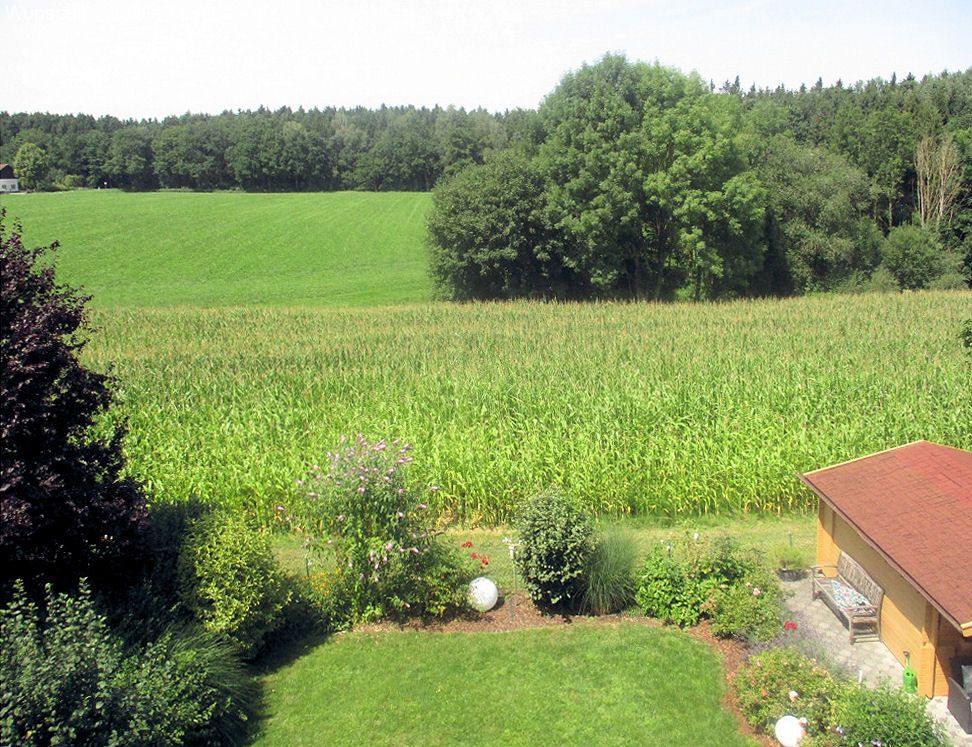 Ausblick vom Badfenster