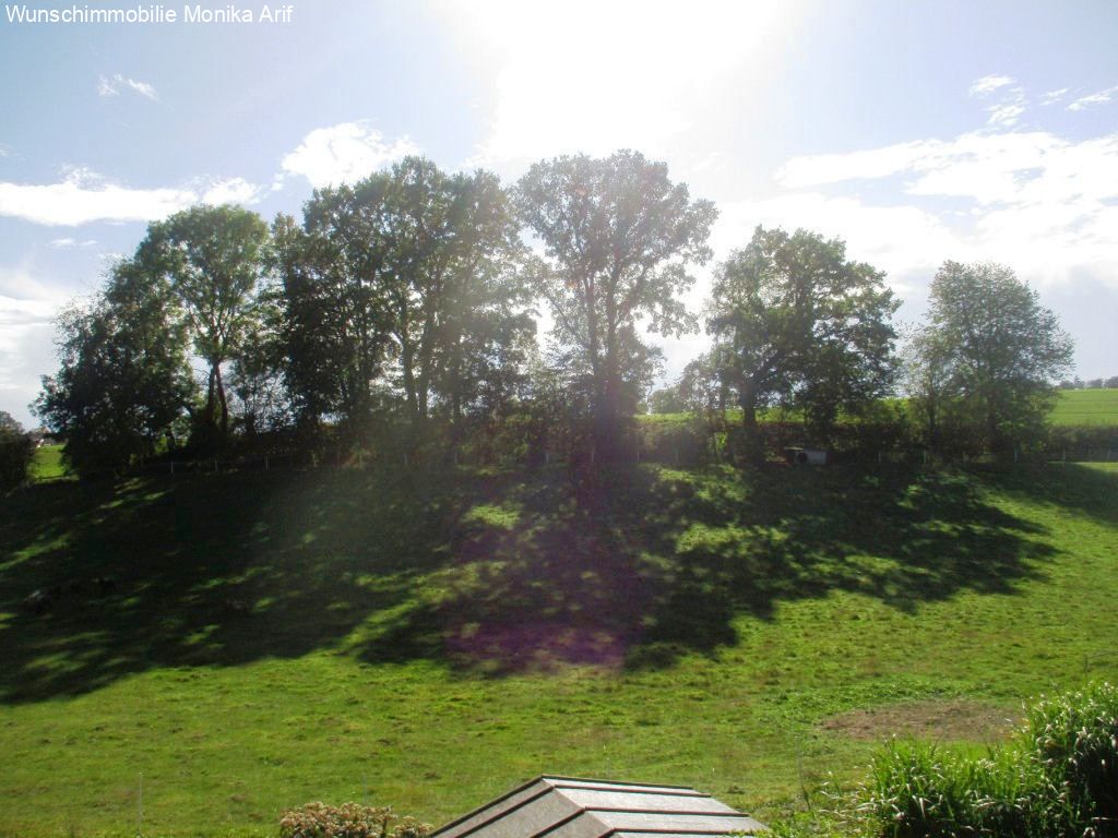 Ausblick vom Balkon