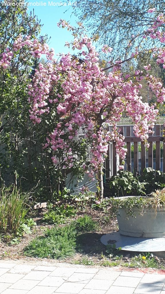 Garten - Blütenpracht im Frühling