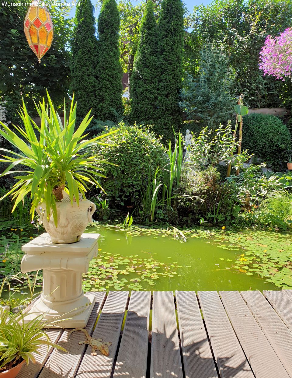 Terrasse und Teich