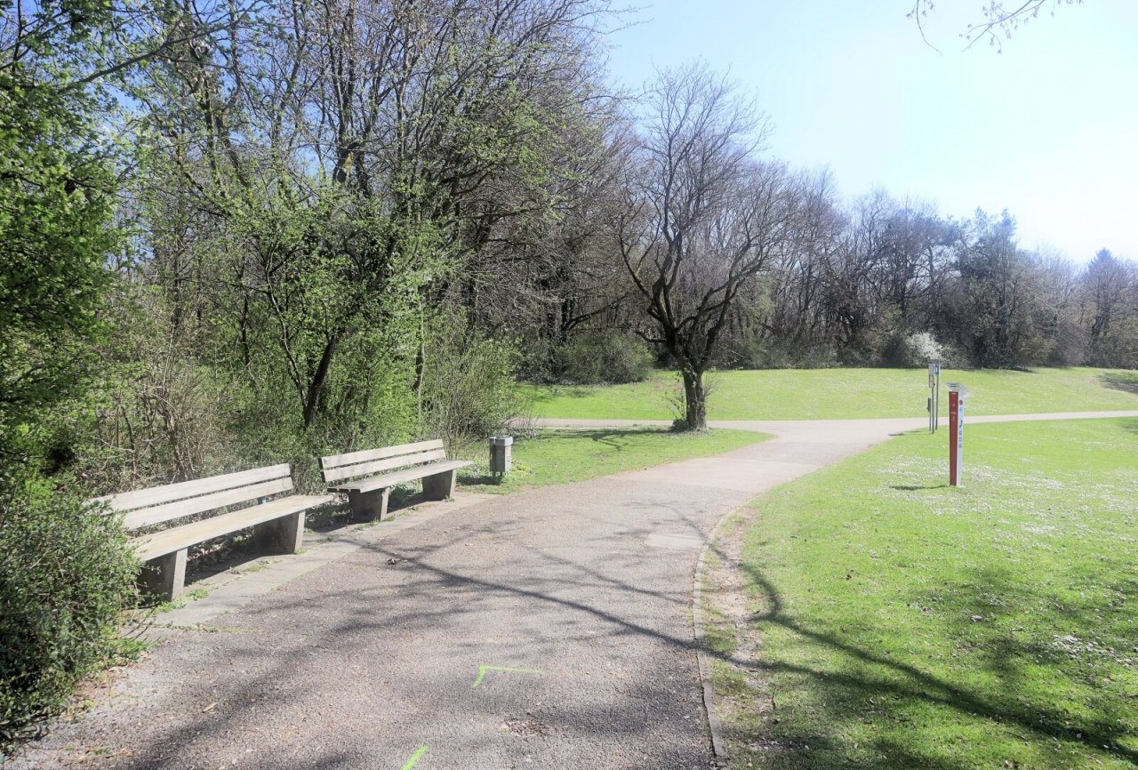 Badegelände Lerchenauer See Badegelände Lerchenauer See