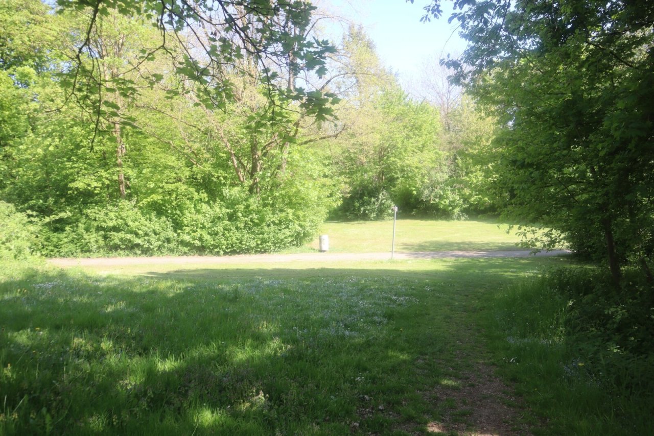 Zugang zum Lerchenauer See Zugang zum Lerchenauer See