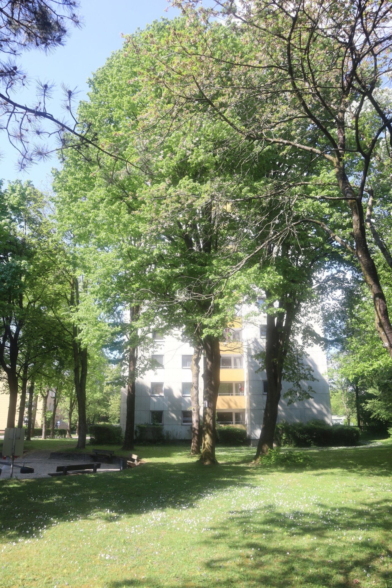 Gebäude und Grünanlage Gebäude und Grünanlage