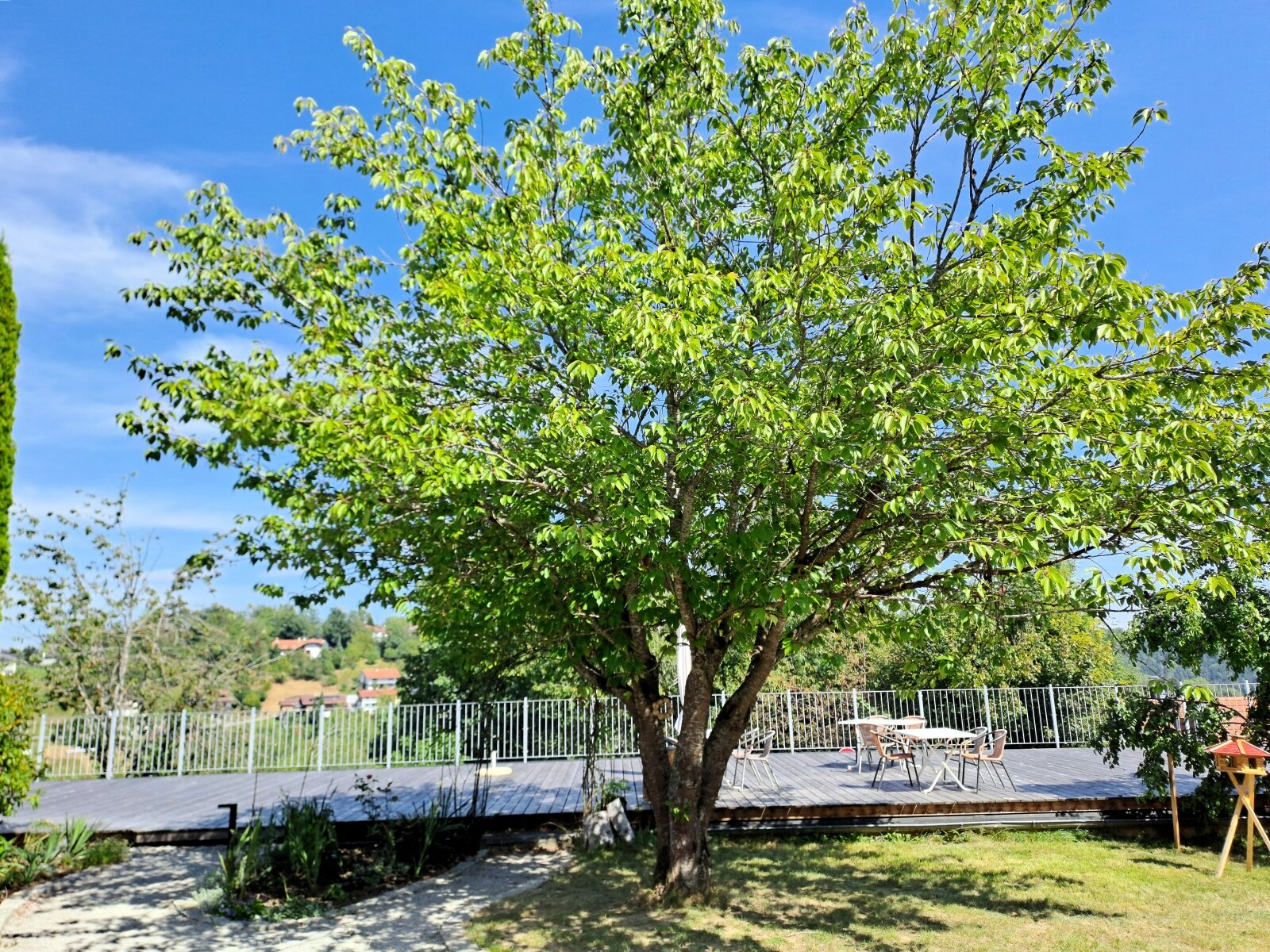 Gemeinschaftsgarten und -terrasse