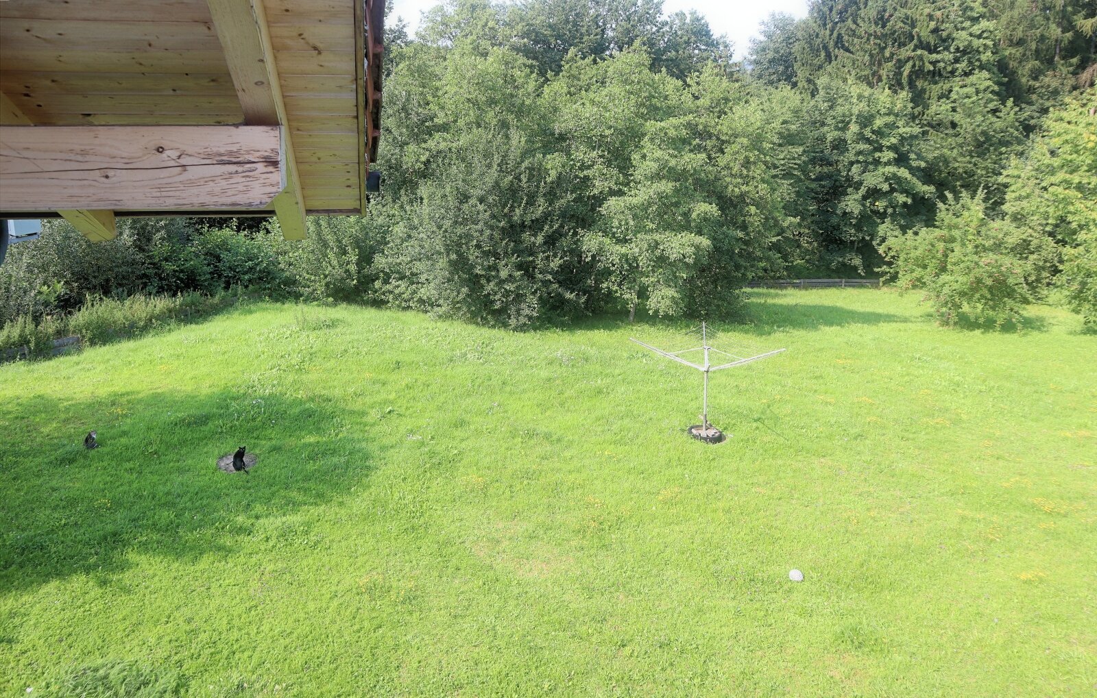 ) Blick von Balkon ) Blick von Balkon