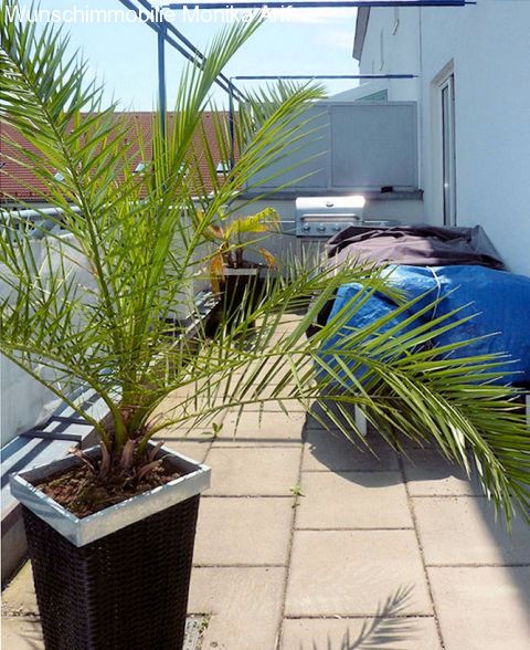 Dachterrasse 2