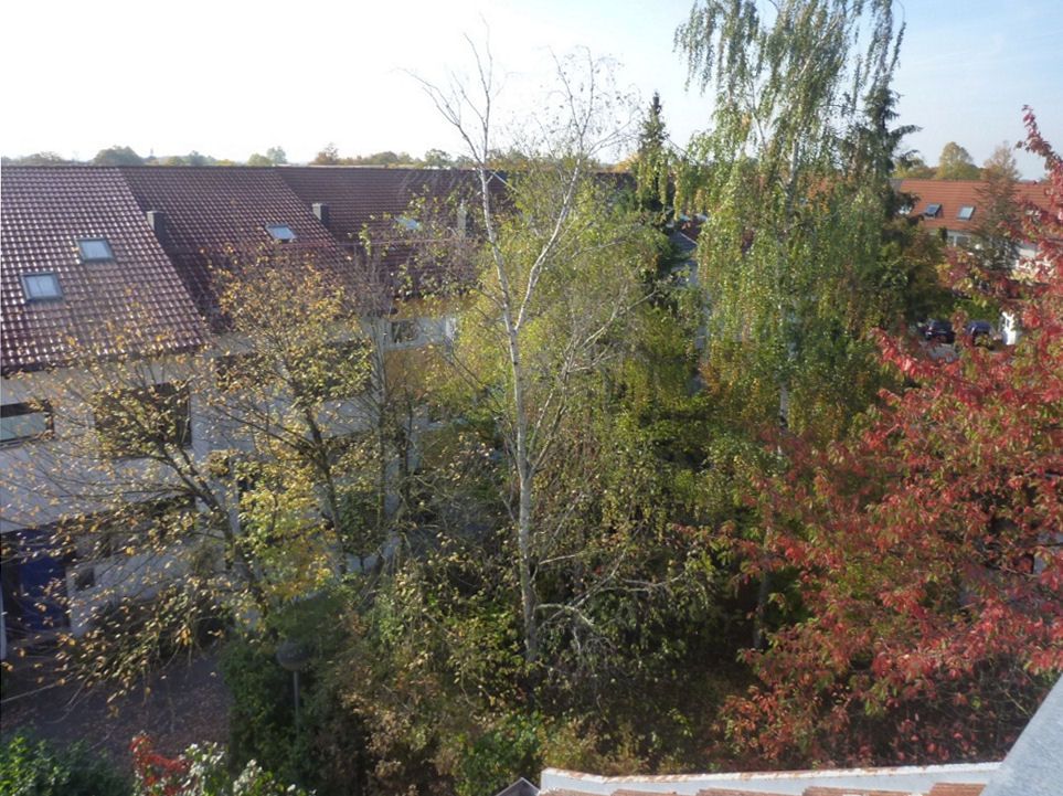  Ausblick Dachterrasse